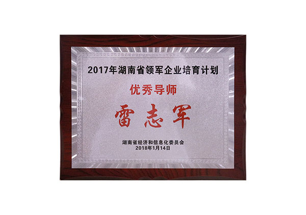 2017年湖南省領(lǐng)軍企業(yè)培育計劃優(yōu)秀導師“雷志軍”牌匾